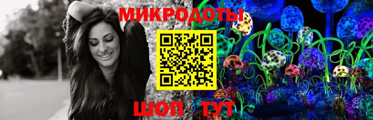 Галлюциногенные грибы GOLDEN TEACHER Белгород