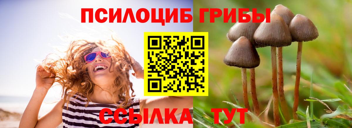 Белгород  Псилоцибиновые грибы мухоморы  Вход с VPN 